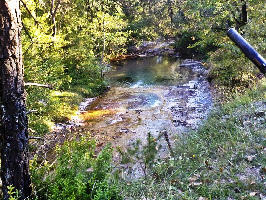 Camping L'Espelt La Pobla de Lillet Eksteriør billede